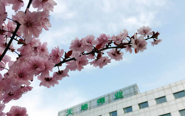 尊龙凯时人生就是搏·(中国区)官方网站