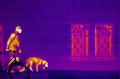 尊龙凯时人生就是搏·(中国区)官方网站