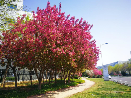 尊龙凯时人生就是搏·(中国区)官方网站
